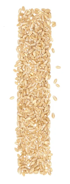 Wheat berries — Stock Photo, Image