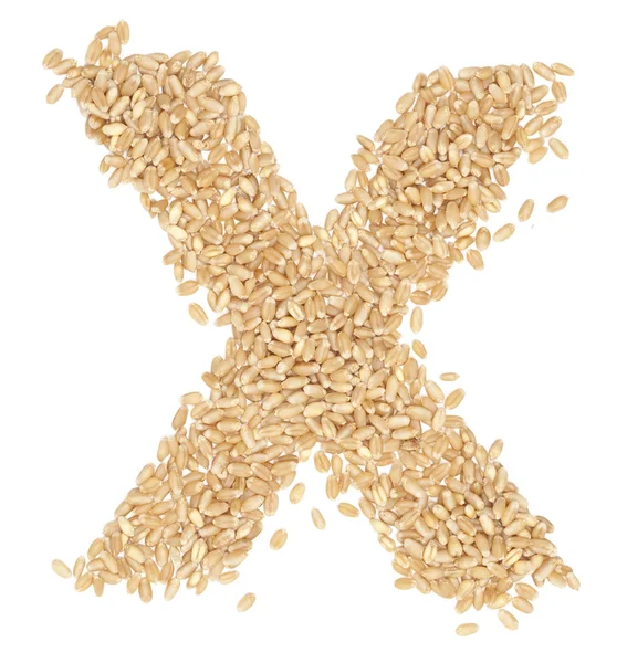 Wheat berries — Stock Photo, Image