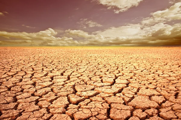 Concept image of global warming. Royalty Free Stock Photos