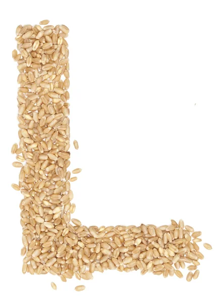Pšenice bobule — Stock fotografie