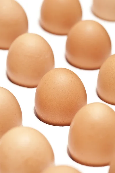 Ägg — Stockfoto