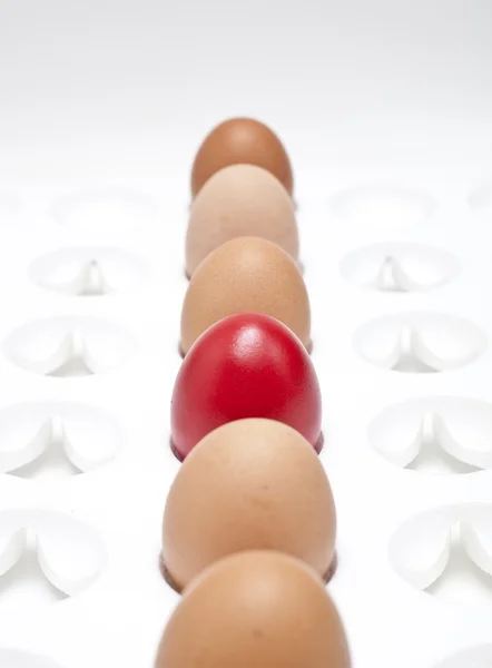 Eggs — Stock Photo, Image