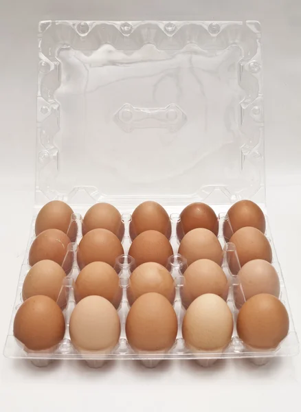 Ägg — Stockfoto