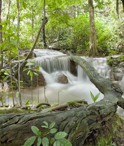 Cachoeira — Fotografia de Stock