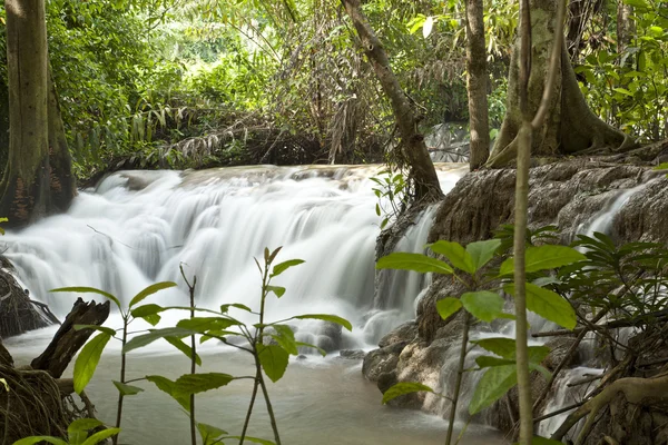 Cachoeira — Fotografia de Stock