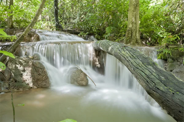 Wasserfall . — Stockfoto