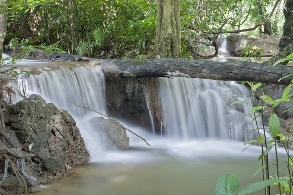 Waterval. — Stockfoto