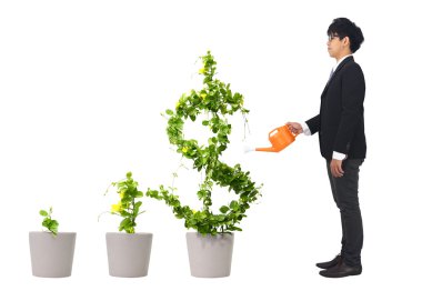 Doları ağaç büyüyen