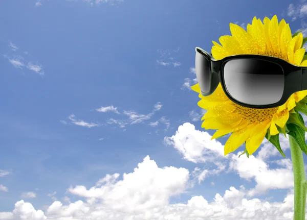 Sunglasses and sunflowe — Stock Photo, Image