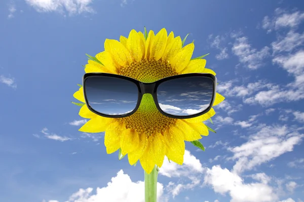 Sunglasses and sunflowe — Stock Photo, Image