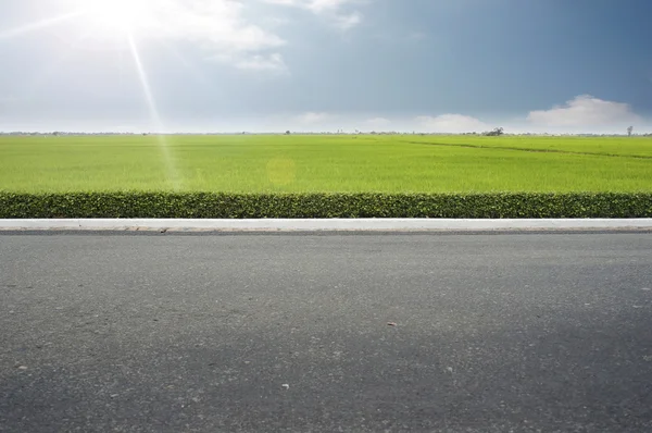 Straßenrand — Stockfoto