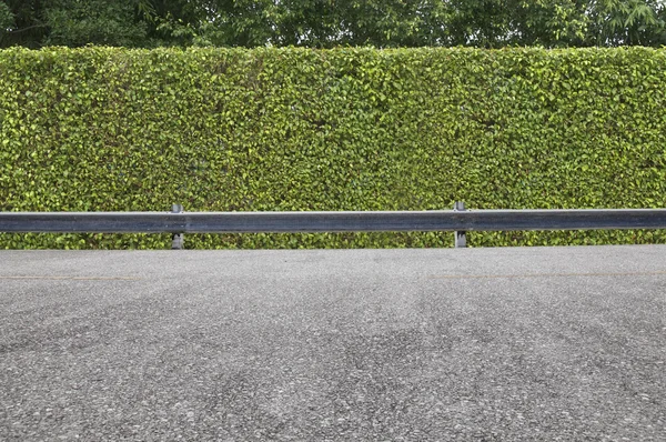 Weg langs de weg — Stockfoto