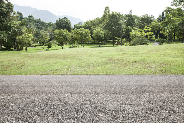 фон дорожного сада
