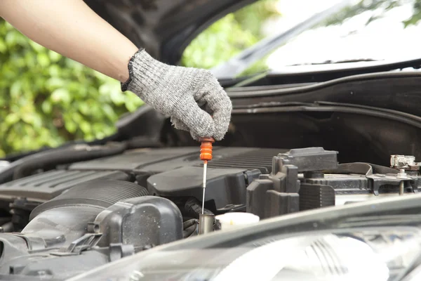 Checking oil — Stock Photo, Image