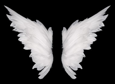 wings clipart