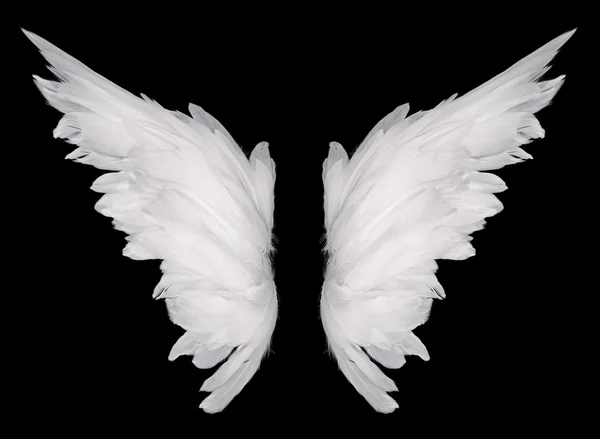 Wings — Stock Photo, Image