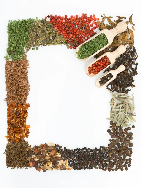 Colorful spices frame — Stock Photo, Image