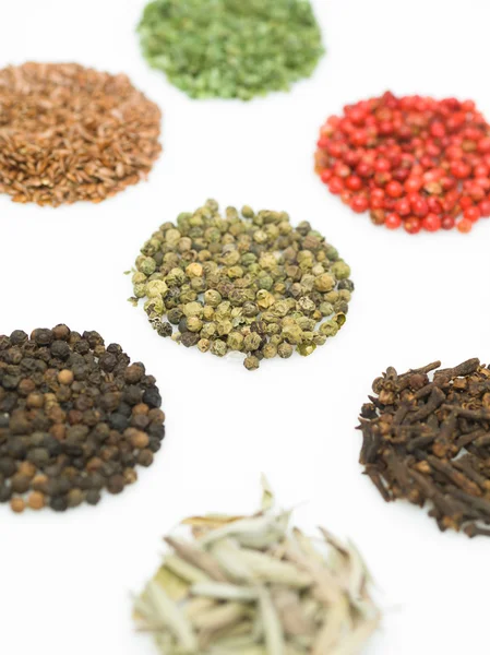 Round spices — Stock Photo, Image