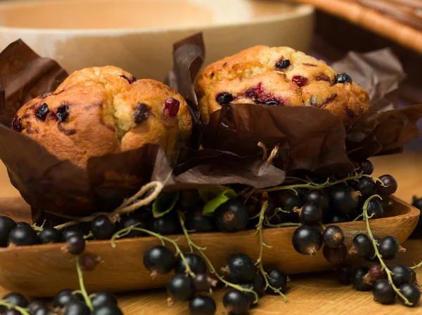 Muffins de groselha-preta tradicionais — Fotografia de Stock