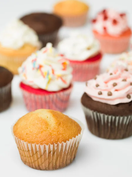 Bunte Cupcakes — Stockfoto