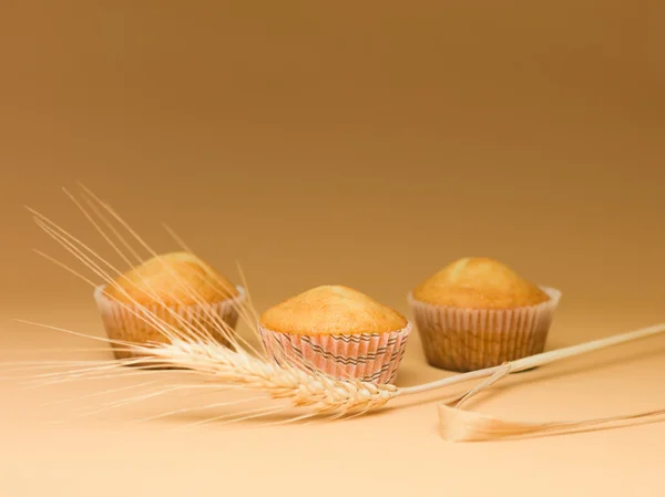 Eenvoudige muffins gebakken — Stockfoto