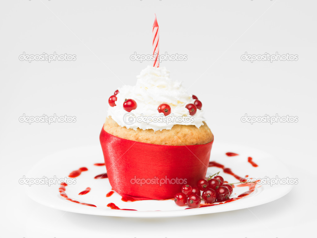 Kuş Üzümlü Muffin Kuş Üzümlü Muffin