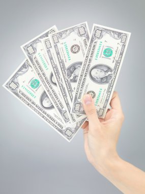 el yüz dolar faturaları tutarak
