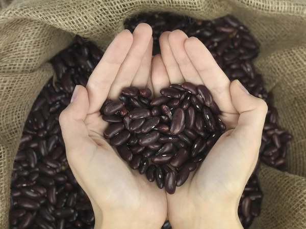 Corazón de frijol — Foto de Stock