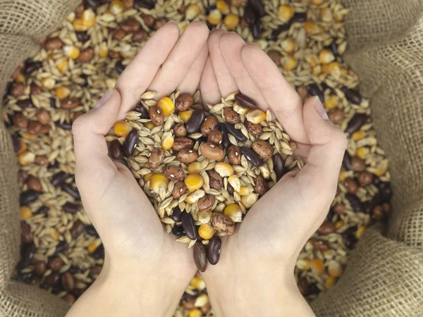 Mix grain heart — Stock Photo, Image