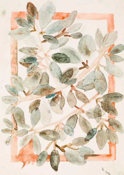 Folhas em ramos, pintura aquarela — Fotografia de Stock