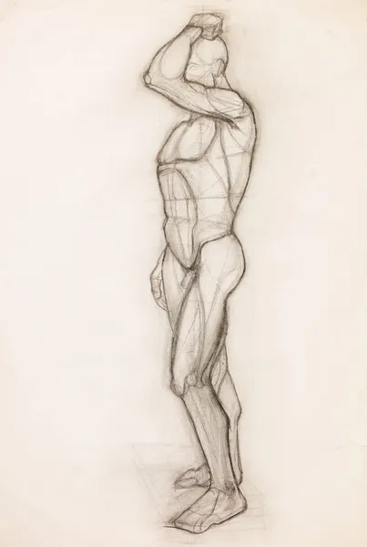 insan vücudu anatomisi çalışma