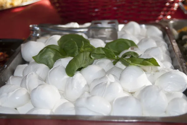 Buffalo mozzarella — Stockfoto