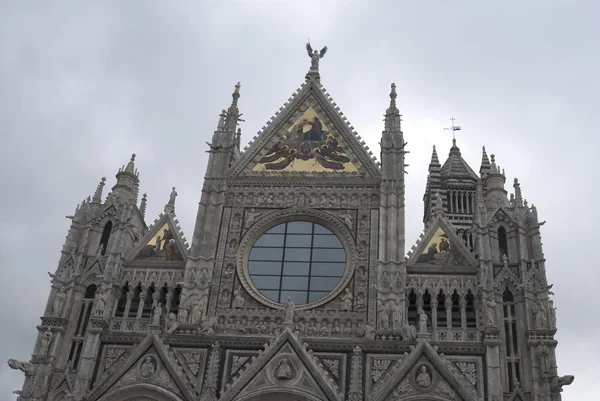 Detalhe da Catedral de Siena — Fotografia de Stock