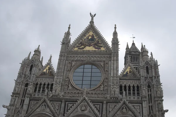 Detail van de kathedraal van siena — Stockfoto