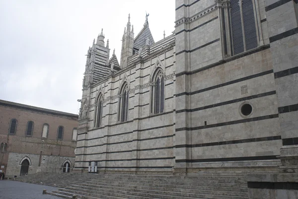 Fachada lateral da Catedral de Siena — Fotografia de Stock