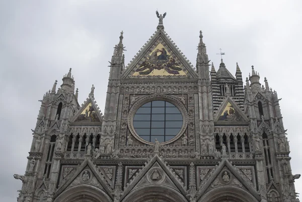 Siena Katedrali'nin — Stok fotoğraf