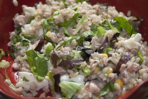 Insalata di orzo — Foto Stock