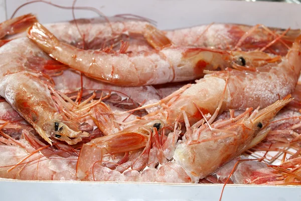 Prawns — Stock Photo, Image