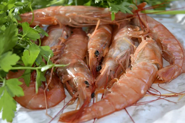 Imperial prawns — Stock Photo, Image