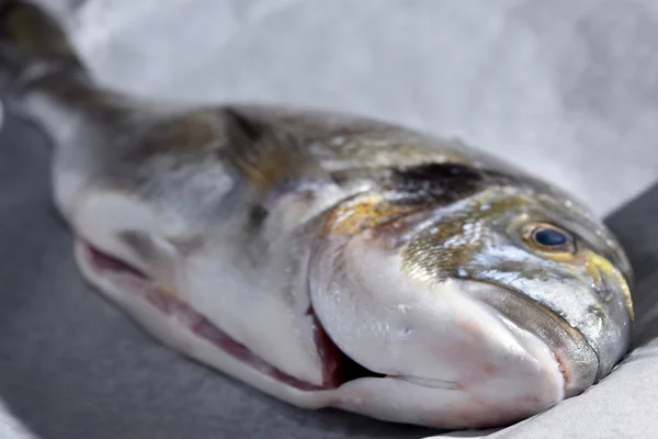 Fresh sea bream — Stock Photo, Image