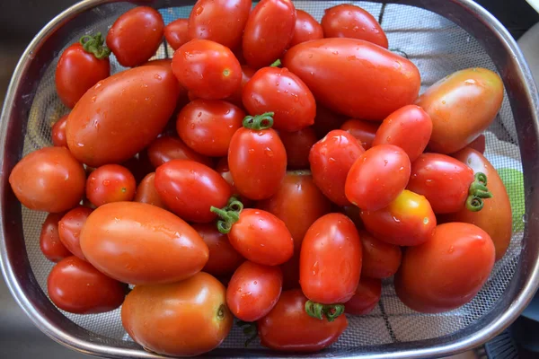 Tomates Fraîches Juste Cueillies Dans Bol — Photo