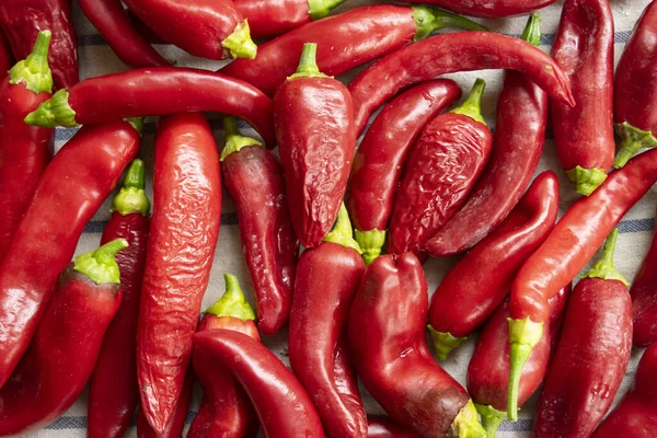 Top View Hot Chilli Just Picked Garden — Stock Photo, Image