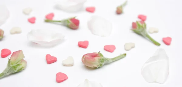 Regeling met roze harten en een bud — Stockfoto