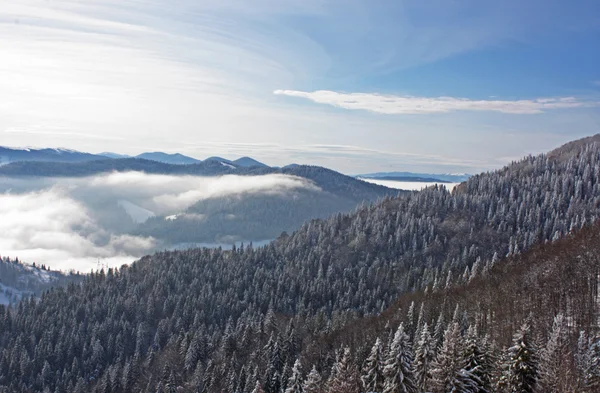 Zimní krajina v horách — Stock fotografie