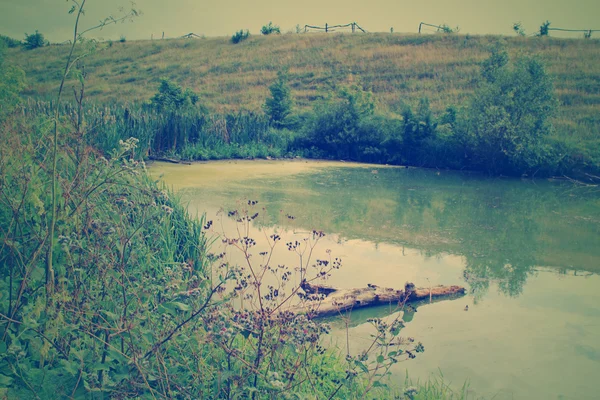 Mystical green swamp — Stock Photo, Image