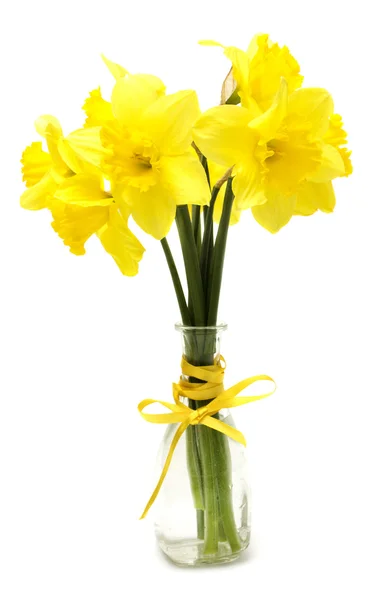 Narcissus flowers posy in vase — Stock Photo, Image