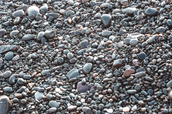 Фон Смешанных Пляжных Галечных Камней — стоковое фото
