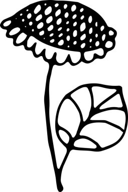 Ayçiçeği. Karalama ilmeklerinde vektör illüstrasyonu