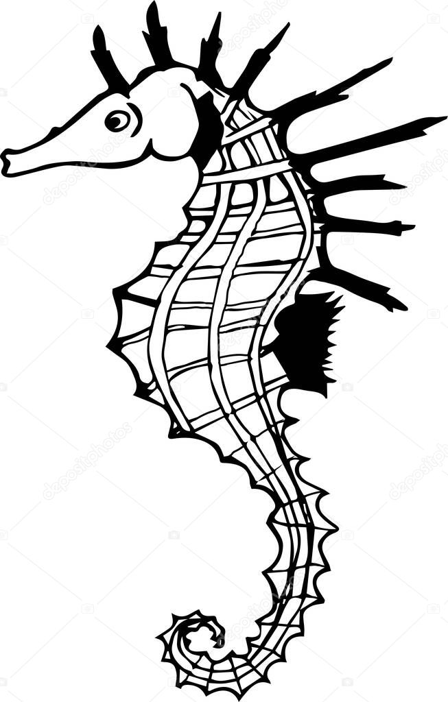 Hand drawn sketch of seahorse