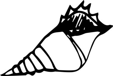 Elle çizilmiş deniz kabuğu